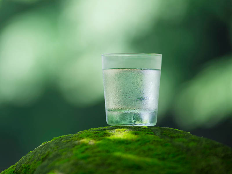 Réduisez votre empreinte écologique