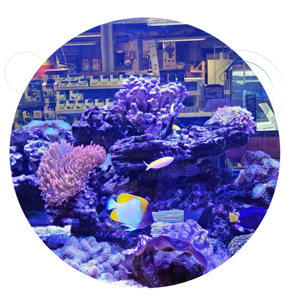 Brussels Aquarium